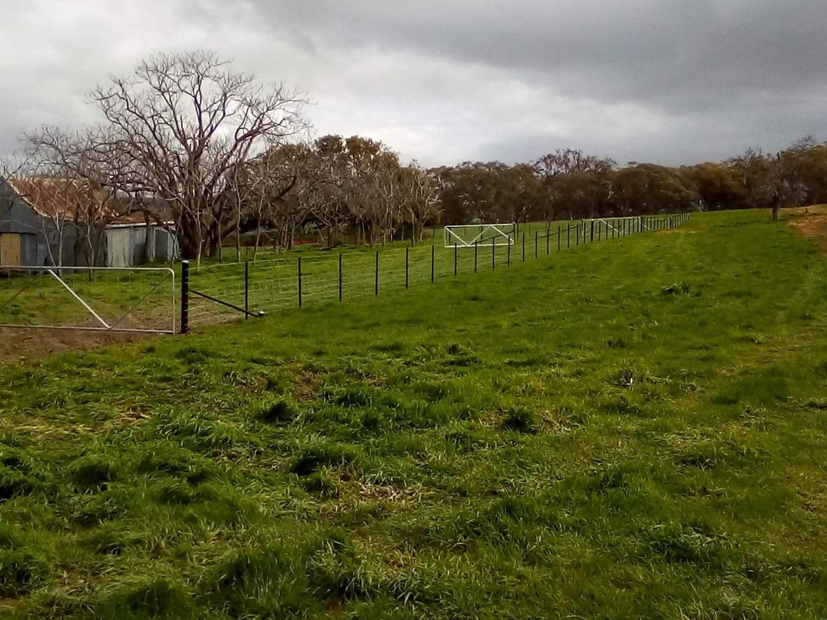 Long rural wire fence across a grassy paddock